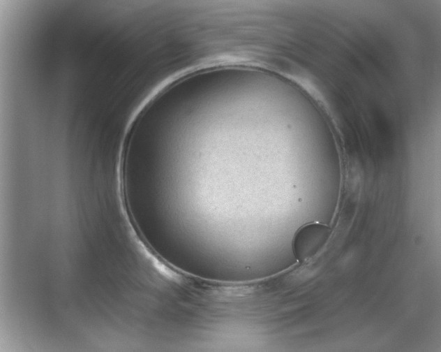 X0000069831294200605191130