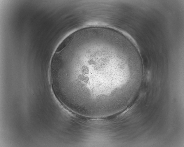 X0000069831295200605191130