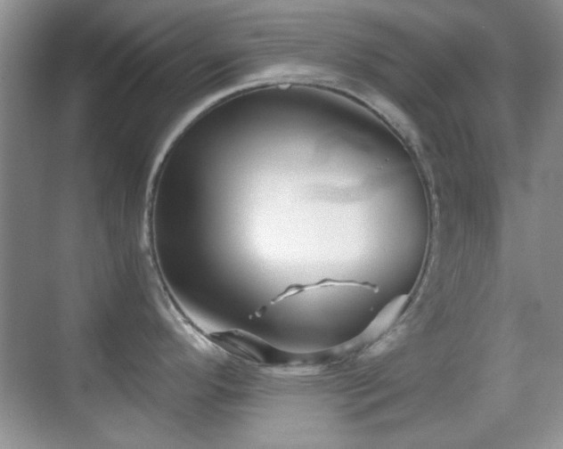 X0000069831296200605191130