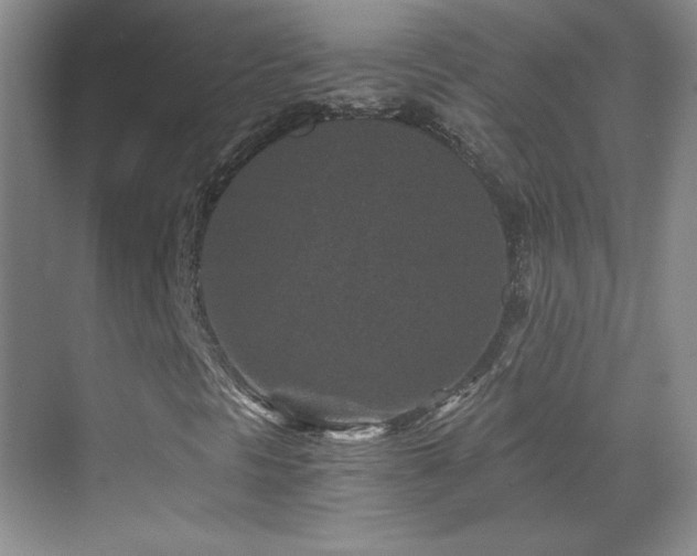 X0000069831297200605191129