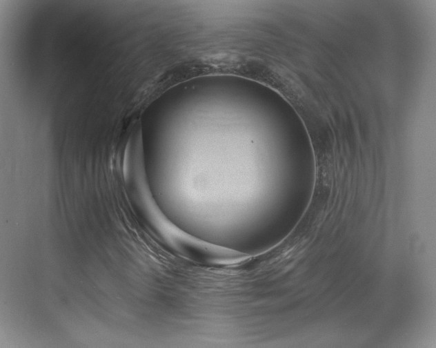 X0000069831298200605191129