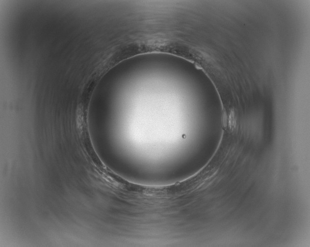 X0000069831299200605191129