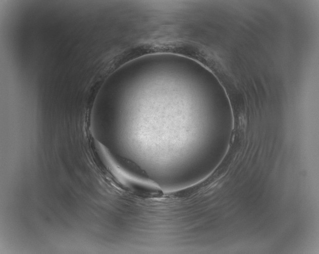 X0000069831300200605191129