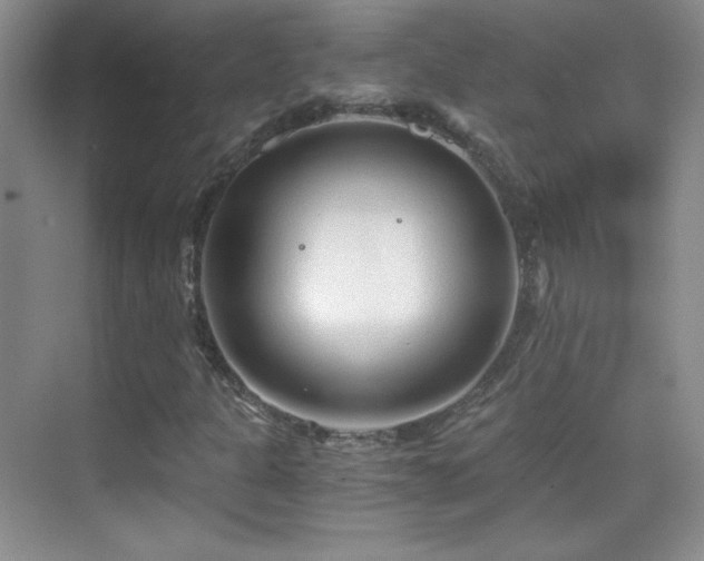 X0000069831301200605191129