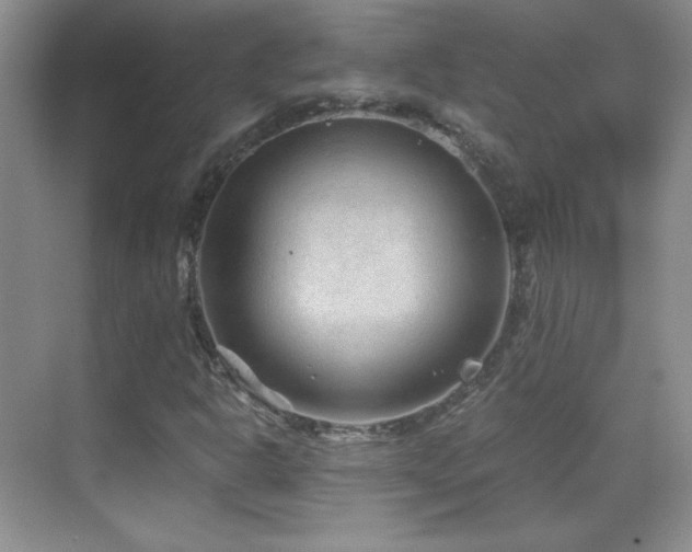 X0000069831302200605191129