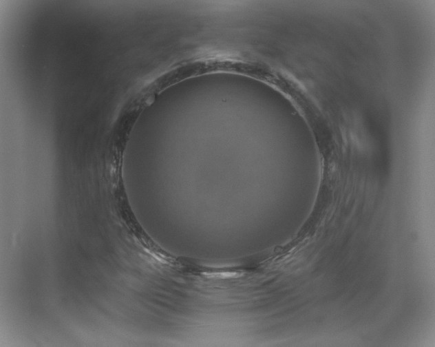 X0000069831303200605191129