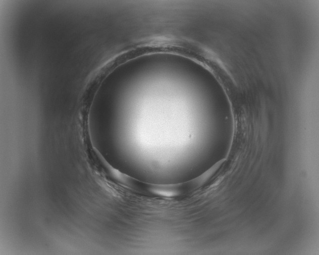 X0000069831304200605191129