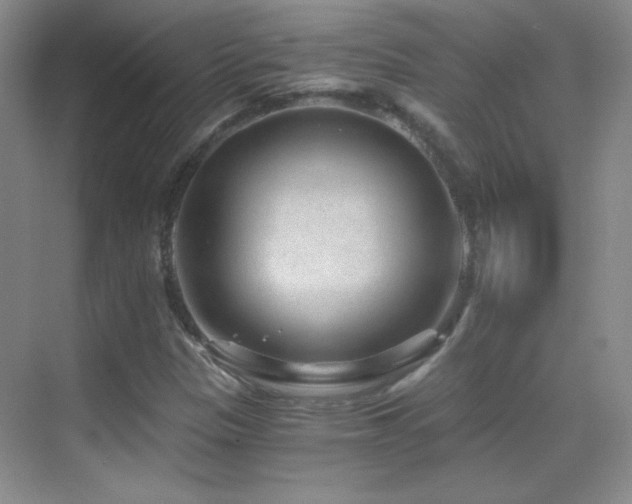 X0000069831305200605191129