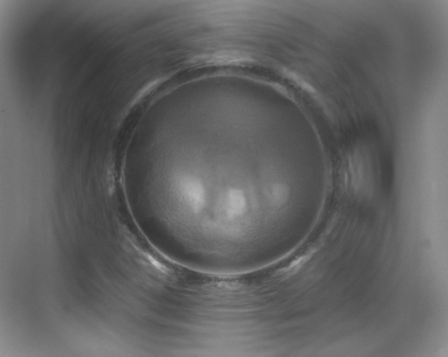 X0000069831306200605191129