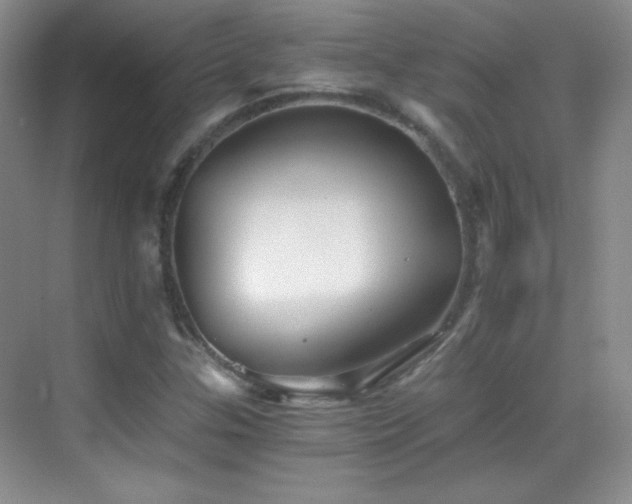 X0000069831307200605191129