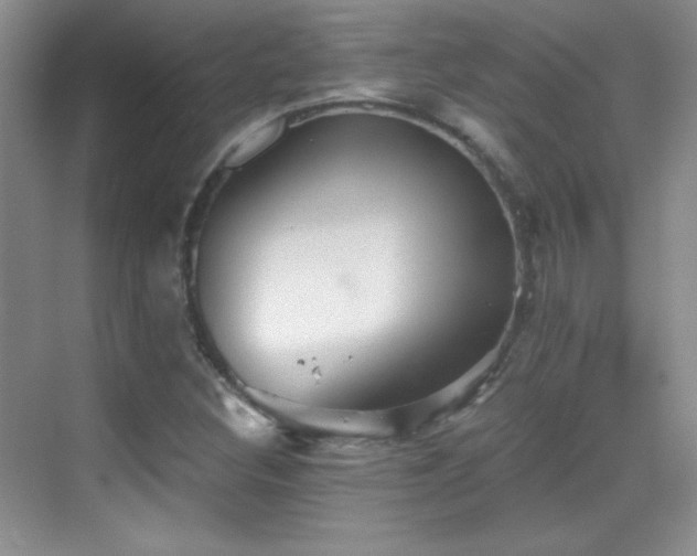 X0000069831308200605191129