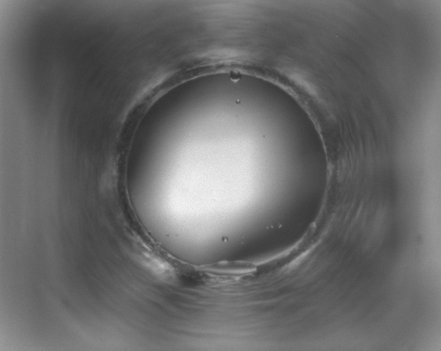 X0000069831309200605191129