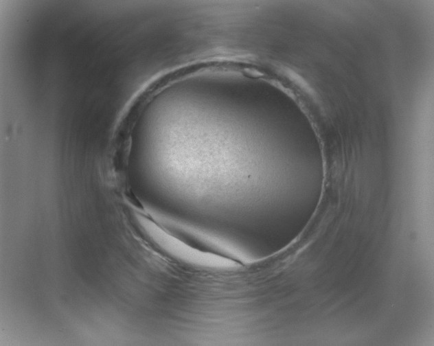 X0000069831310200605191129