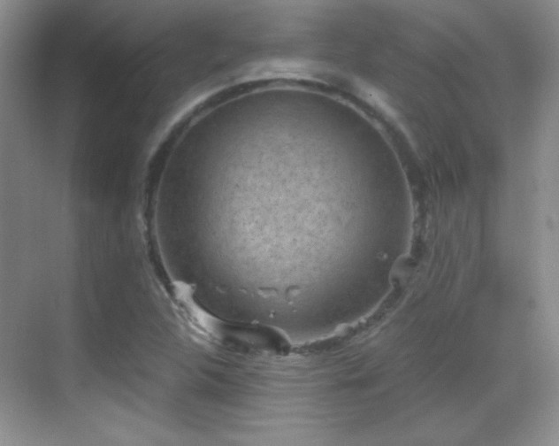 X0000069831312200605191129