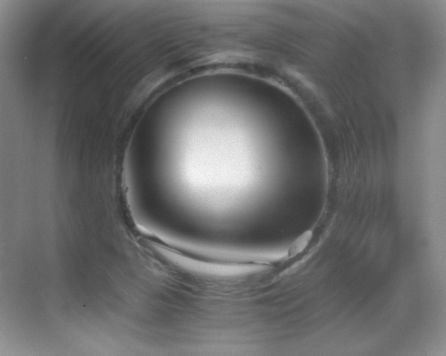 X0000069831313200605191129