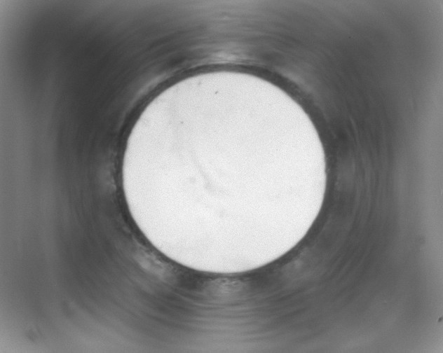 X0000069831314200605191129