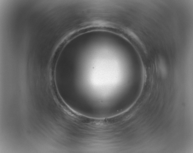 X0000069831318200605191129