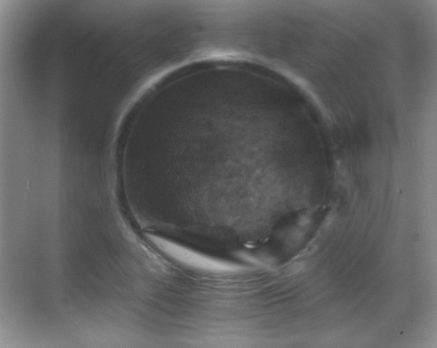 X0000069831319200605191129