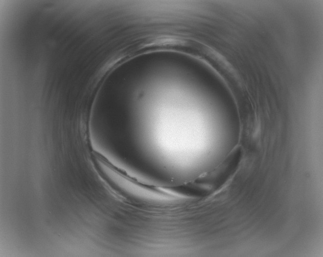 X0000069831321200605191129