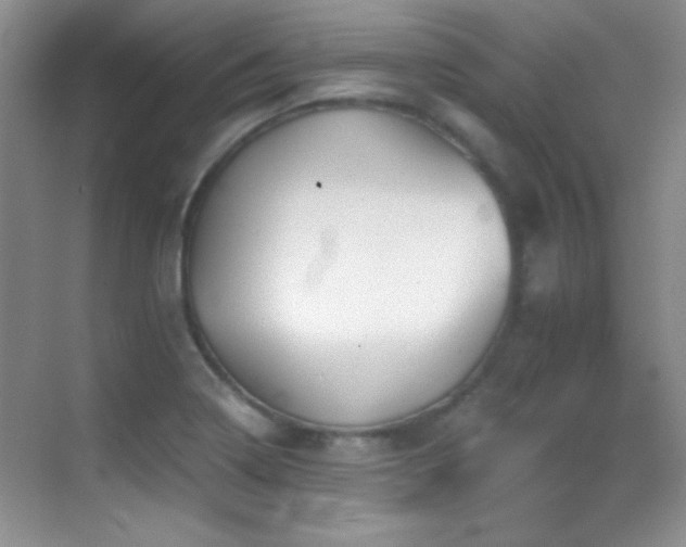 X0000069831322200605191129