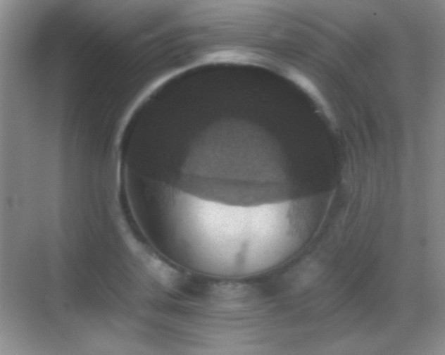 X0000069831323200605191129