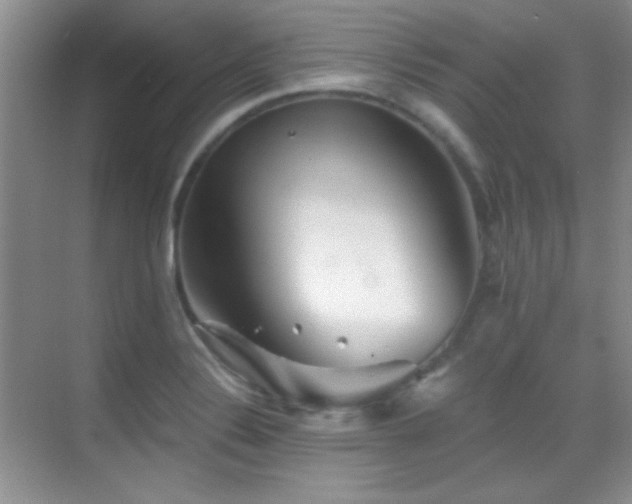 X0000069831324200605191129