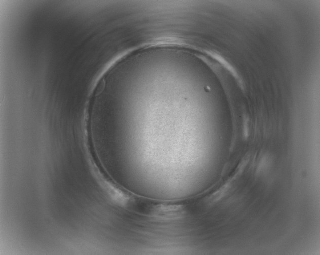 X0000069831325200605191130