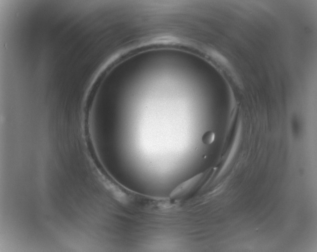 X0000069831326200605191130