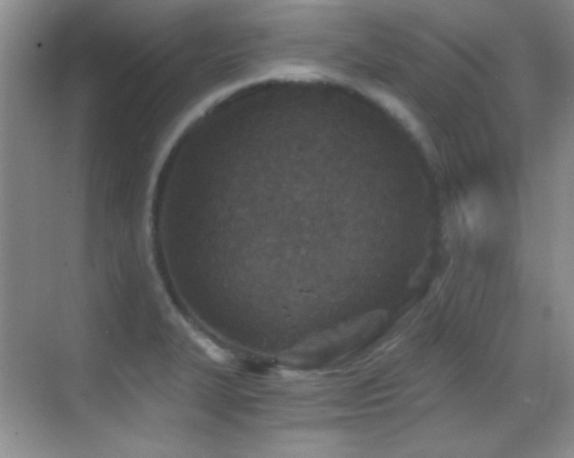 X0000069831327200605191130