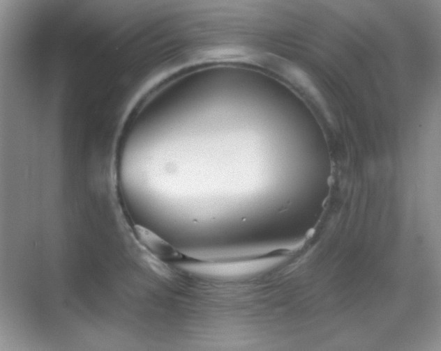 X0000069831328200605191130