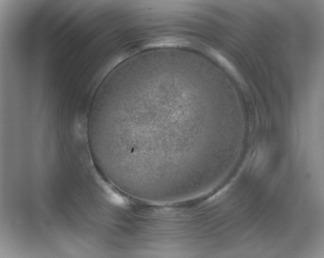 X0000069831329200605191130