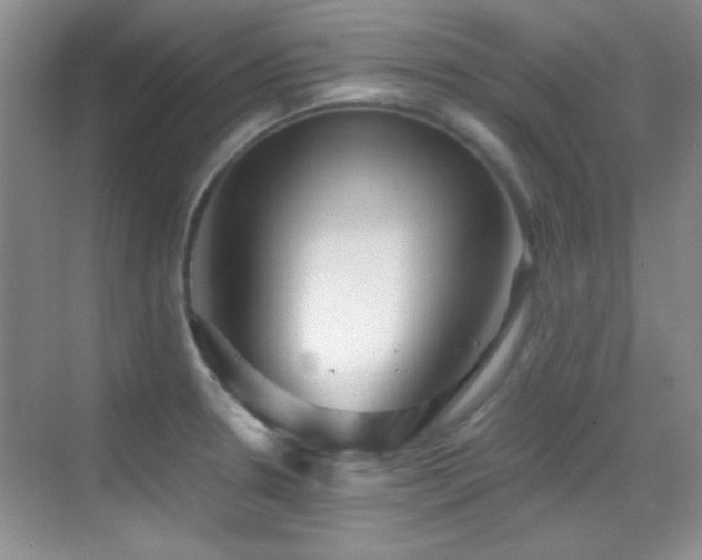 X0000069831330200605191130