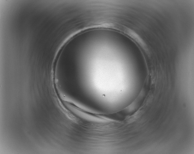 X0000069831332200605191130