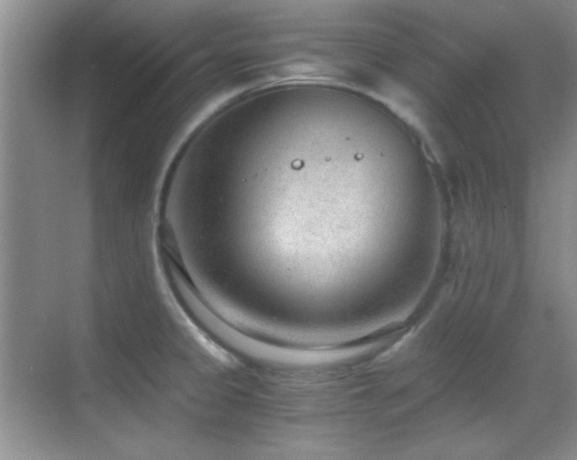 X0000069831333200605191130