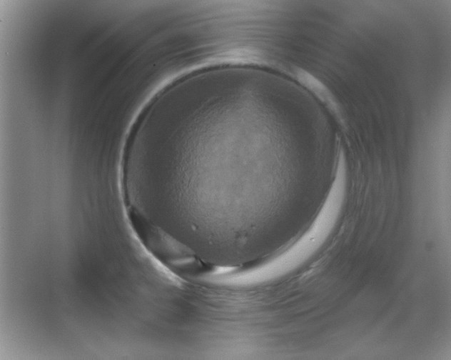 X0000069831334200605191130