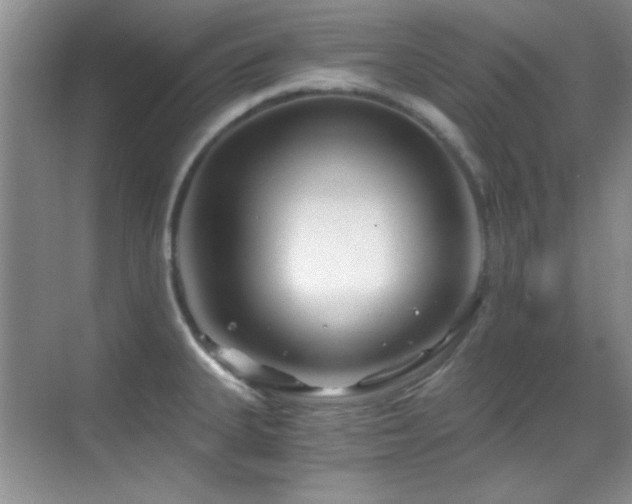 X0000069831335200605191130