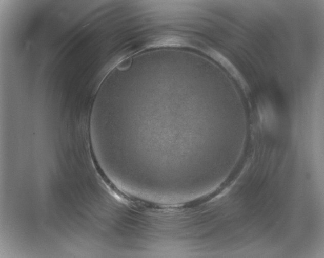 X0000069831337200605191130