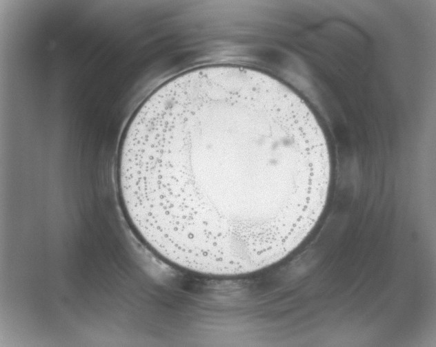 X0000069831338200605191130