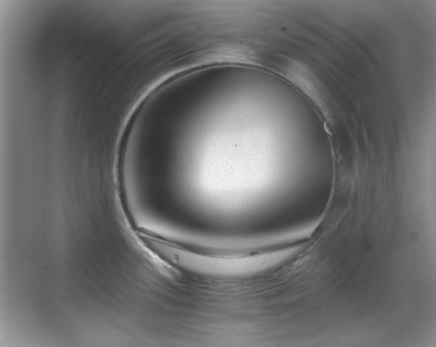 X0000069831339200605191130