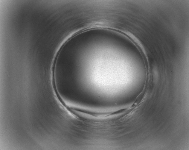 X0000069831341200605191130