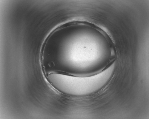 X0000069831342200605191130