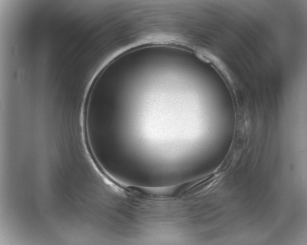 X0000069831343200605191130