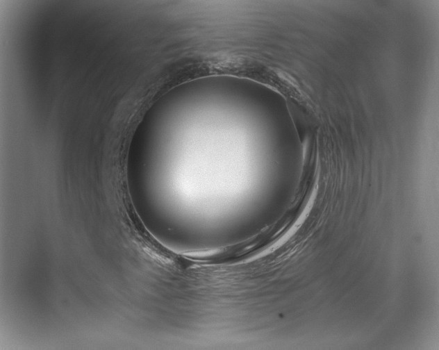 X0000069831345200605191129