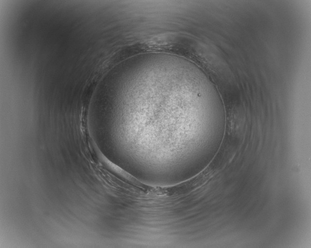 X0000069831346200605191129