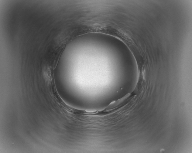 X0000069831347200605191129