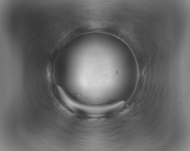 X0000069831348200605191129