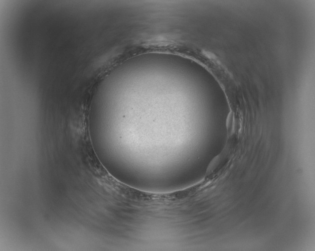 X0000069831350200605191129