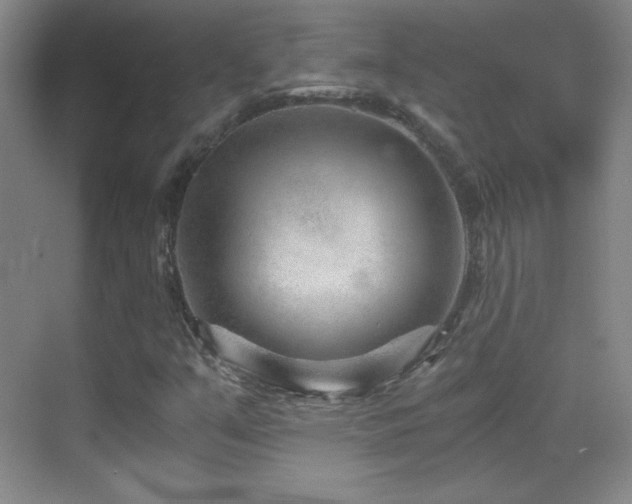 X0000069831351200605191129