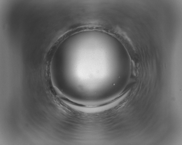 X0000069831352200605191129