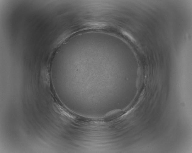 X0000069831354200605191129